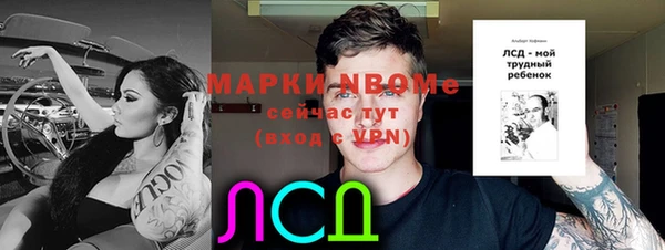 гидра Алексеевка