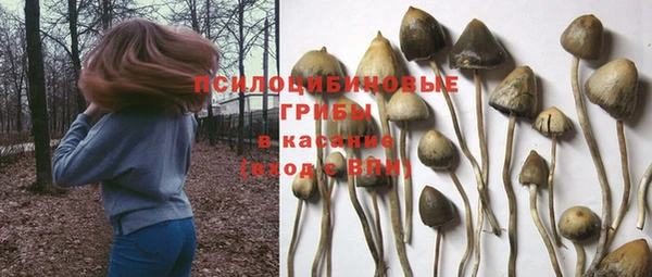 марихуана Новокубанск