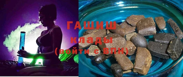 гидра Алексеевка