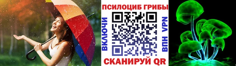 продажа наркотиков  Алапаевск  Галлюциногенные грибы Psilocybine cubensis 